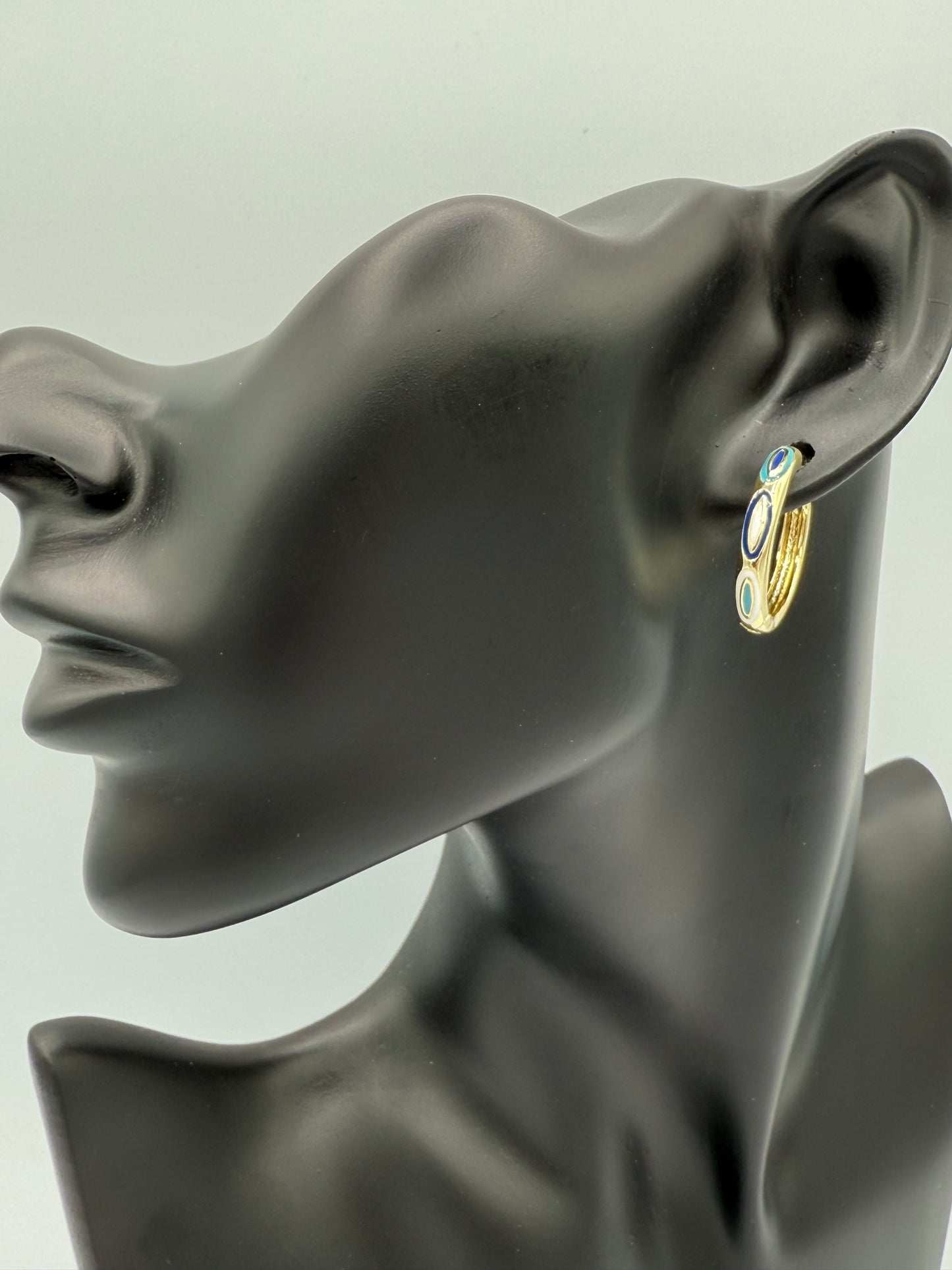 Luxe Enamel Hoop Earrings